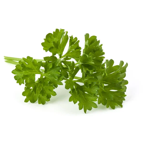 Parsley leaves bunch isolated on white background cutout — Stock Photo, Image