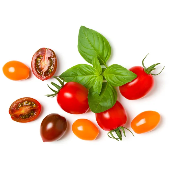 Various colorful tomatoes and basil leaves isolated on white bac — Stock Photo, Image