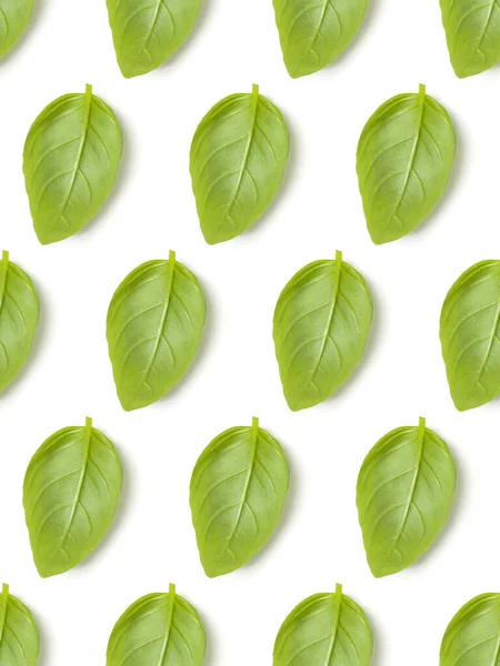 Sweet Basil herb leaves isolated on white background closeup. Fl — Stock Photo, Image