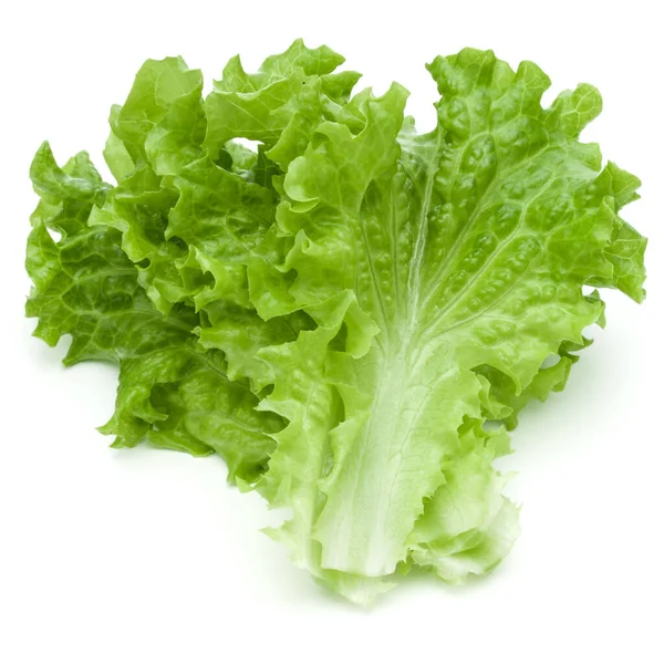 鲜绿色生菜沙拉叶子，白色背景隔离 — 图库照片