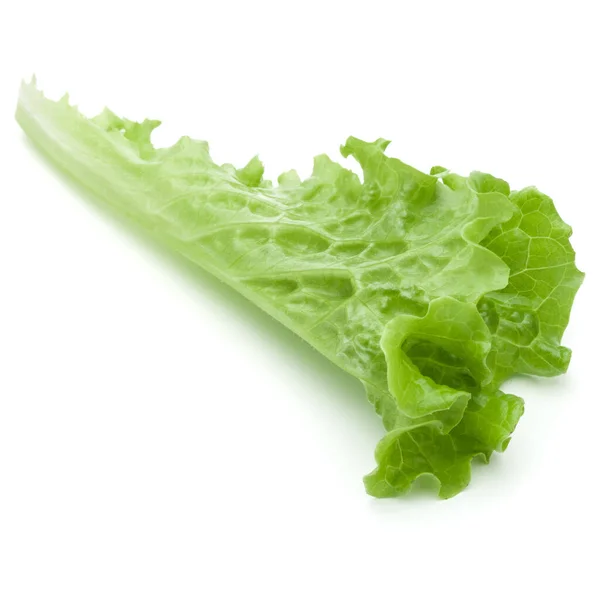 Frische grüne Salatblätter isoliert auf weißem Hintergrund — Stockfoto