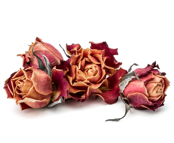 Dried rose flower head isolated on white background cutout — Stock Photo, Image