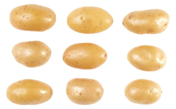 Potatoes set isolated on white background. Top view. Flat lay pa — Stock Photo, Image