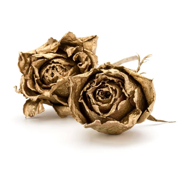 Three Gold Roses Isolated White Background Cutout Golden Dried Flower