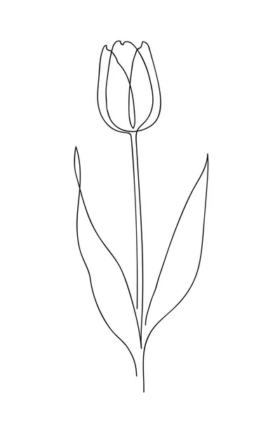 Schöne Tulpenblüte. line art konzept design — Stockvektor