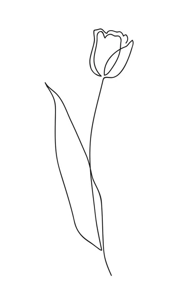 Linda flor de tulipa. Design de conceito de arte de linha. Desenho de linha contínua. Símbolo de flor estilizado. Ilustração vetorial. — Vetor de Stock