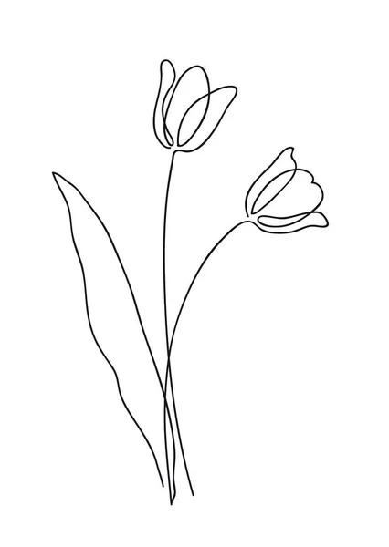 아름다운 튤립 꽃다발. 라인 아트 컨셉 디자인. 직선그리기. 형식적 인 장미꽃은 손그리기를 나타낸다. 스프링 심볼 벡터 일러스트. — 스톡 벡터