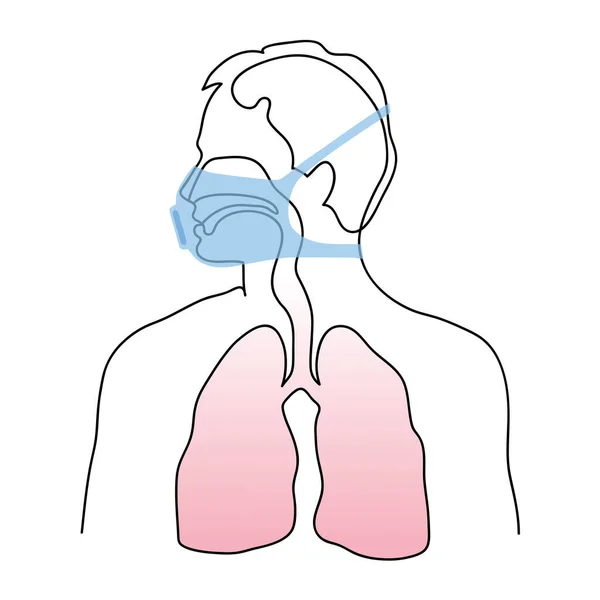 戴着医用口罩的人的保护 人类对呼吸系统的解剖 医学上健康的肺解剖学病媒幻觉 — 图库矢量图片#