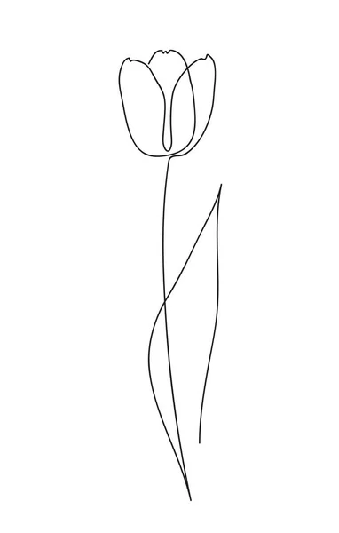 美しいチューリップの花。ラインアートコンセプトデザイン。連続線画。様式化された花のシンボル。ベクターイラスト. — ストックベクタ