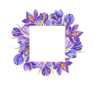 Suluboya çizimi. Mor kruvazörler, bahar çiçekleri. Suluboya çiçeklerin bileşimi. Kare. Düğün davetiyeleri. Kartpostal.