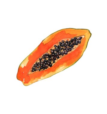 Suluboya çizimi. Papaya Egzotik tropik suluboya meyvesi. Sağlıklı yiyecekler. Beyaz bir arkaplanda izole edilmiş.