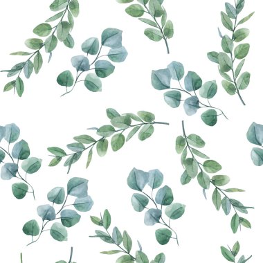Beyaz arka planda izole edilmiş yeşil okaliptüs suluboya dalları. Botanik illüstrasyon. Kusursuz desen, takna izi, ambalaj kağıdı.