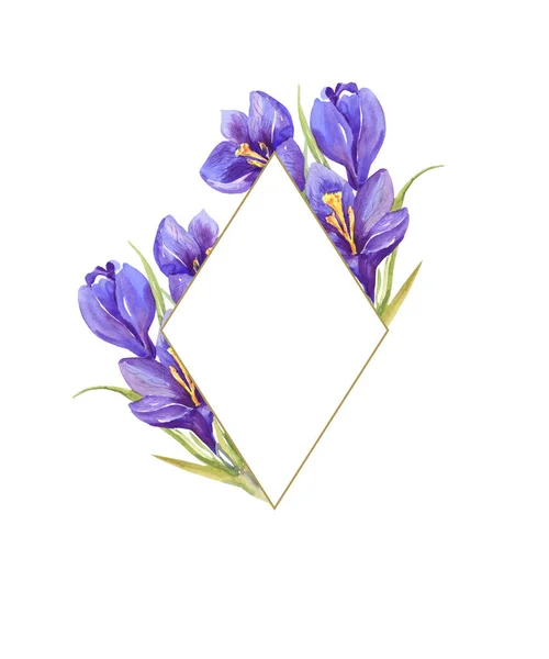 水彩イラスト 紫色の水彩画が発生します ロムバス 結婚式の招待状 郵便はがきだ 植物図 白い背景に隔離された — ストック写真