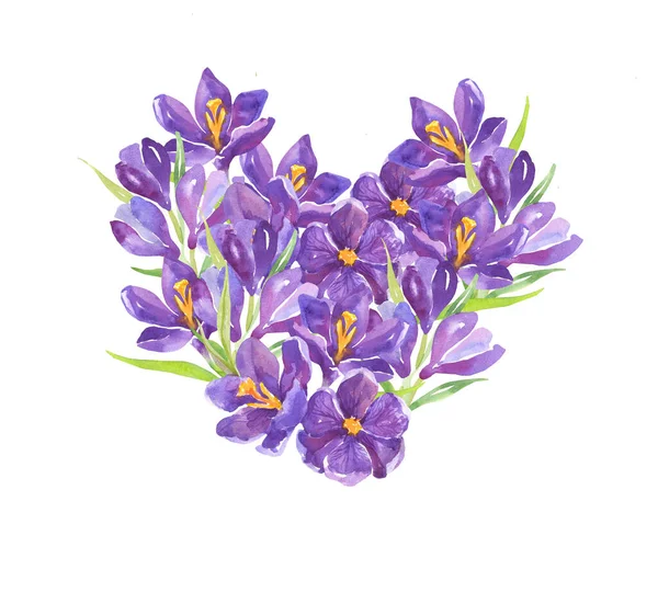 Watercolor Illustration Purple Crocuses Spring Flowers Composition Watercolor Flowers Shape — Stock Photo, Image