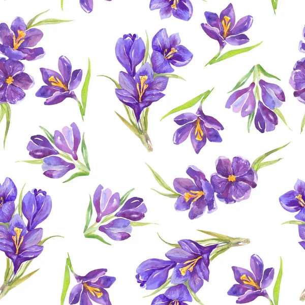 Watercolor print of purple crocuses. Seamless pattern, print for fabric, wrapping paper. Spring watercolor flowers.
