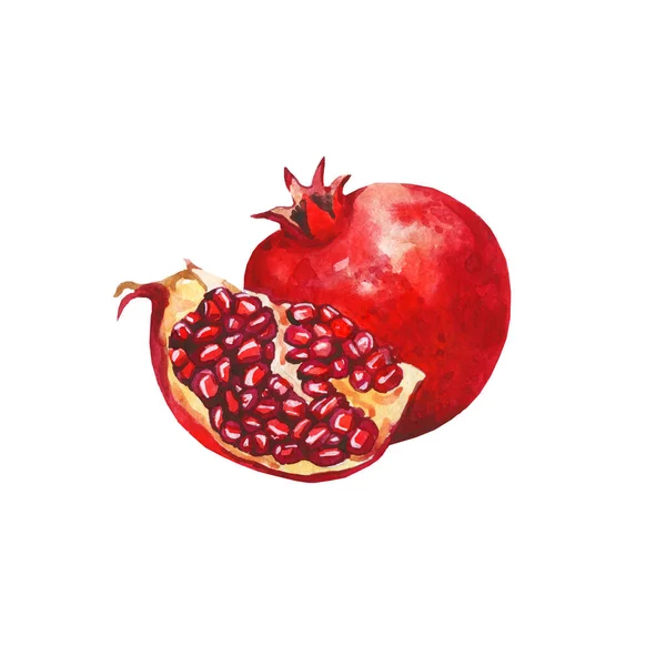 Υδατογραφία Απεικόνιση Του Κόκκινου Ροδιού Εξωτικά Φρούτα Απομονωμένο Λευκό Φόντο — Φωτογραφία Αρχείου