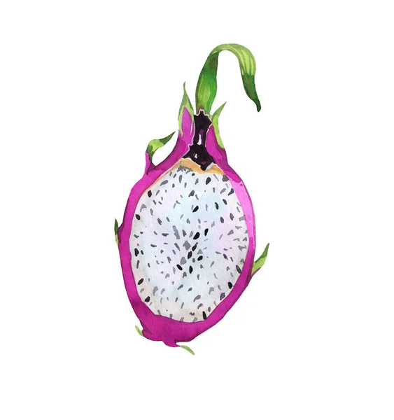 Ilustración Acuarela Papaya Fruta Tropical Exótica Acuarela Comida Saludable Aislado —  Fotos de Stock