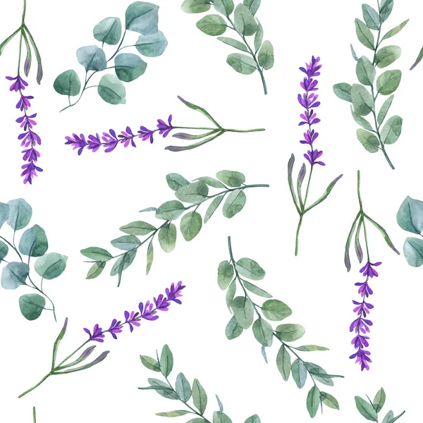 Beyaz arka planda yeşil okaliptüs dalları ve mor lavanta suluboya. Botanik illüstrasyon. Kusursuz desen, takna izi, ambalaj kağıdı.