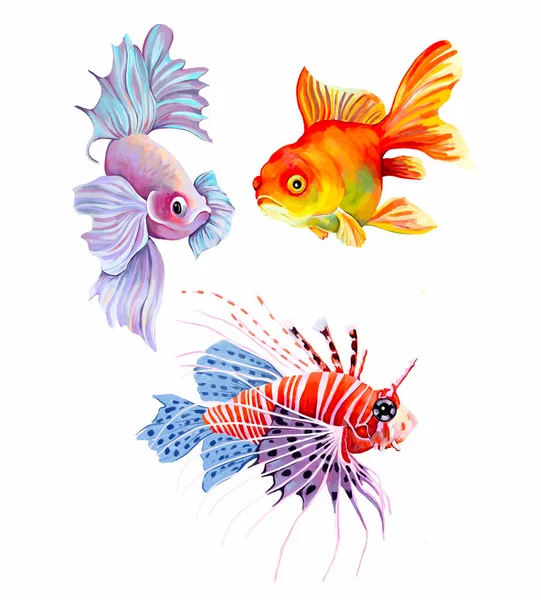Bright Coral Fish White Background Set Objects Underwater World Ocean — Stock Photo, Image