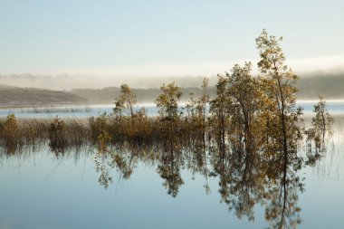 Göl manzara su ile çevrili çalılar ile