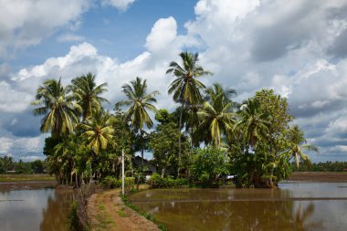 Villa palma ağaçlar su ile çevrili ile