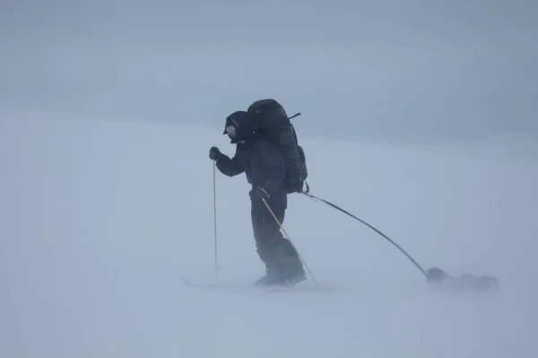 Ski touring człowiek z zaprzęgu w złą pogodę — Zdjęcie stockowe