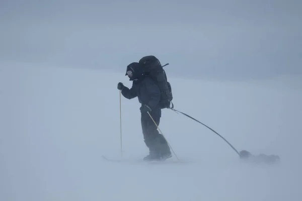 Toerskiën man met slee bij slecht weer — Stockfoto