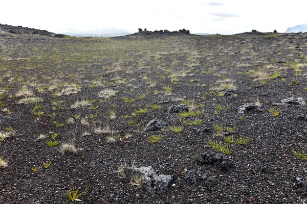 İzlanda'daki ortalama volkanik manzara — Stok fotoğraf