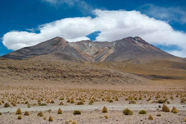 L'un des nombreux volcans de l'Altiplano bolivien — Photo
