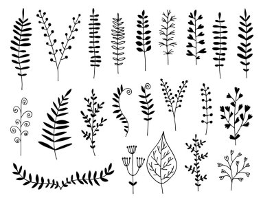 Çizilmiş yaprakları el, otlar ve dallar kümesi vektör