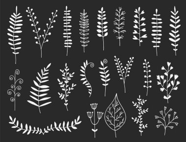 Çizilmiş yaprakları el, otlar ve dallar kümesi vektör