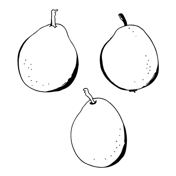Ilustración de vectores de peras — Vector de stock