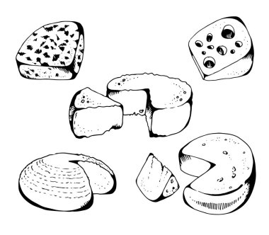 Peynir koleksiyonu, vektör seti, beyaz arka planda izole edilmiş, mavi peynir, emmental, camembert, ricotta, elle çizilmiş parmesan.