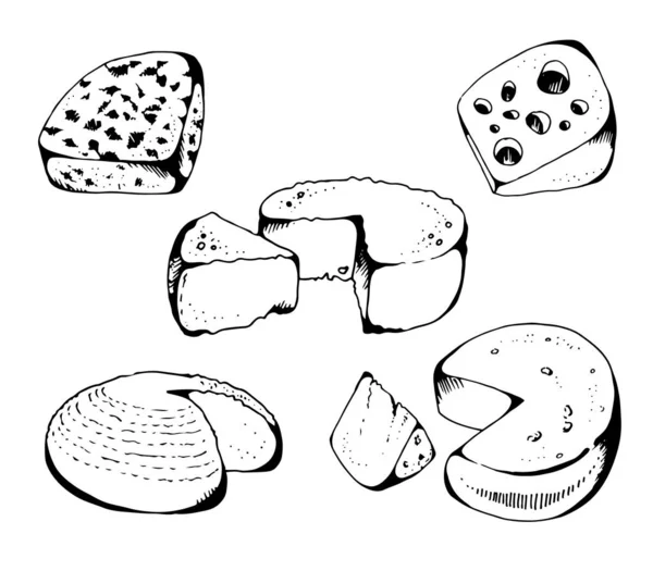 Peynir Koleksiyonu Vektör Seti Beyaz Arka Planda Izole Edilmiş Mavi — Stok Vektör