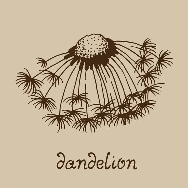Dandelion Blowing Hand Drawn Vector Illustration Isolated Beige Background — Stock Vector