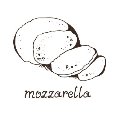 Peynirli mozzarella el çizimi vektör çizimi, beyaz arkaplanda el çizimi metinle izole edilmiş