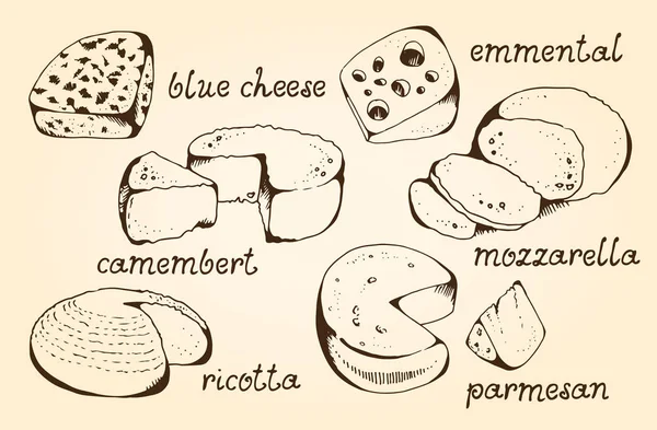 チーズコレクション ベクトルセット ヴィンテージベージュの背景に隔離 ブルーチーズ エメンタール カマンベール モッツァレラ リコッタ 手描きのテキストを持つパルメザン — ストックベクタ