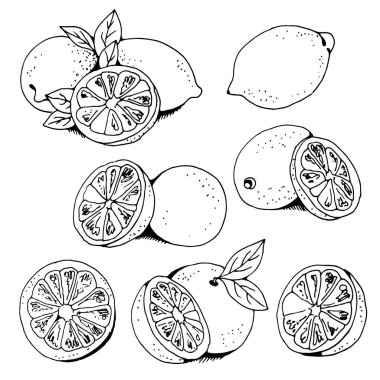 Limonlar ve portakallar meyve vektörü seti, kireç, turunçgil vektör çizimi, beyaz arkaplanda izole edilmiş.