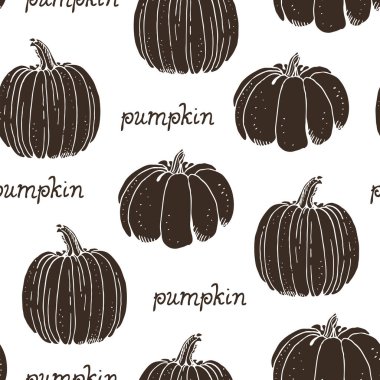 Kabak vektörü kusursuz desen, elle çizilmiş kabak çizimi beyaz arkaplanda izole edilmiş.