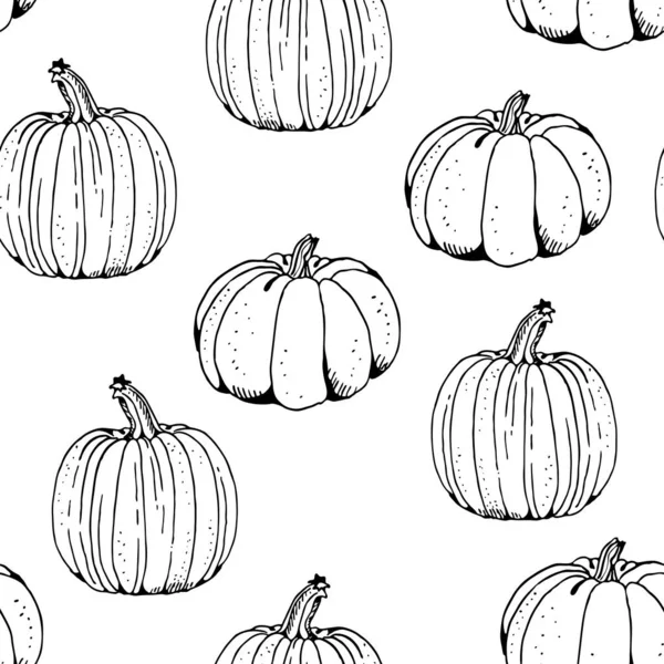 Pumpkin Vector Seamless Pattern Hand Drawn Squash Sketch Isolated White — Stock Vector