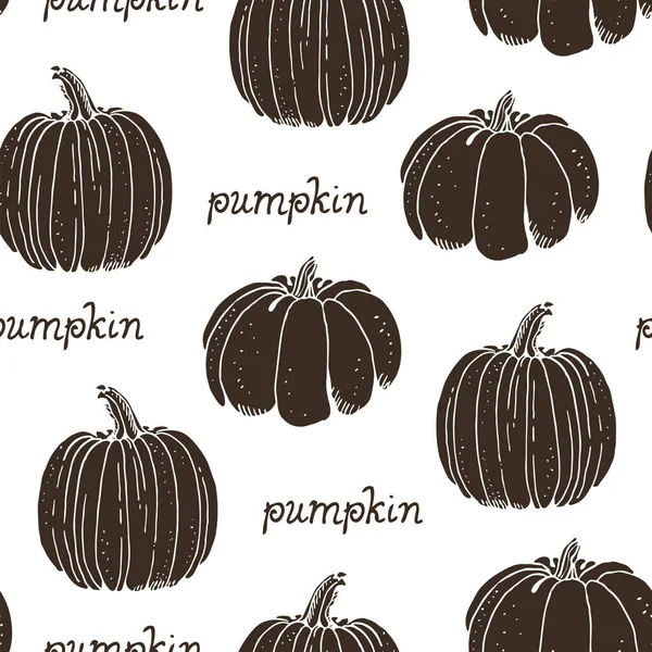 Kabak vektörü kusursuz desen, elle çizilmiş kabak çizimi beyaz arkaplanda izole edilmiş.