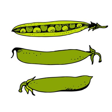 Yeşil bezelye seti, el çizimi vektör çizimi beyaz arkaplanda izole edildi