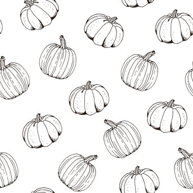 Kabak vektörü kusursuz desen, elle çizilmiş kabak çizimi beyaz arkaplanda izole edilmiş.