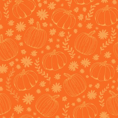 Kabak portakalı, pürüzsüz desen, elle çizilmiş kabak çizimi, beyaz arkaplanda izole edilmiş.