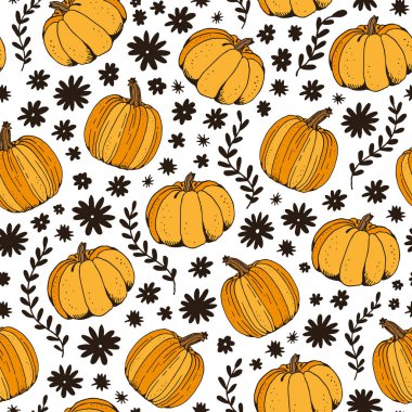 Kabak rengi vektör pürüzsüz desen, elle çizilmiş kabak çizimi beyaz arkaplanda izole edilmiş