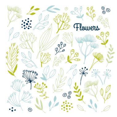Çiçekler ve dallar el çizimi koleksiyon, çiçek seti beyaz arka planda izole