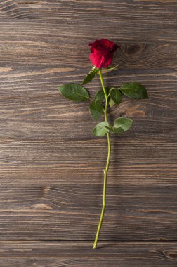 Ahşap arka plan üzerinde kırmızı gül çiçek.