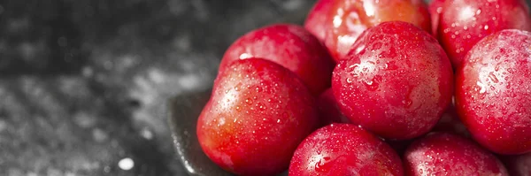 Red Plum Dark Background Banner — Stock Photo, Image