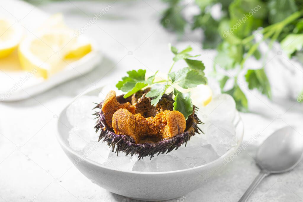 Sea urchin in a ceramic bowl with ice on a gray table. Sea urchin dish