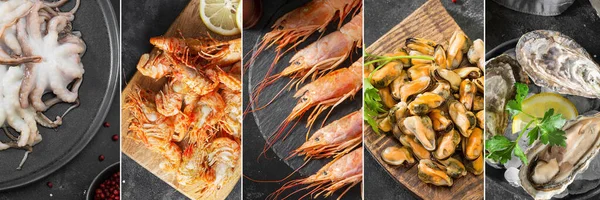College of food from a variety of seafood. Collage of photos of langoustines, oysters, shrimps, eels and clams. Banner